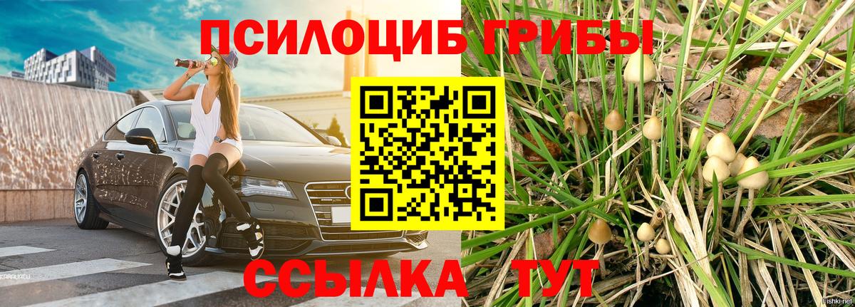 Белая Калитва  цена   Вход с VPN  Галлюциногенные грибы мицелий 